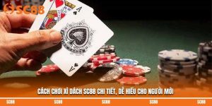 Cách Chơi Xì Dách SC88 Chi Tiết, Dễ Hiểu Cho Người Mới